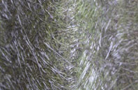 Stubbermere fibreglass roof work